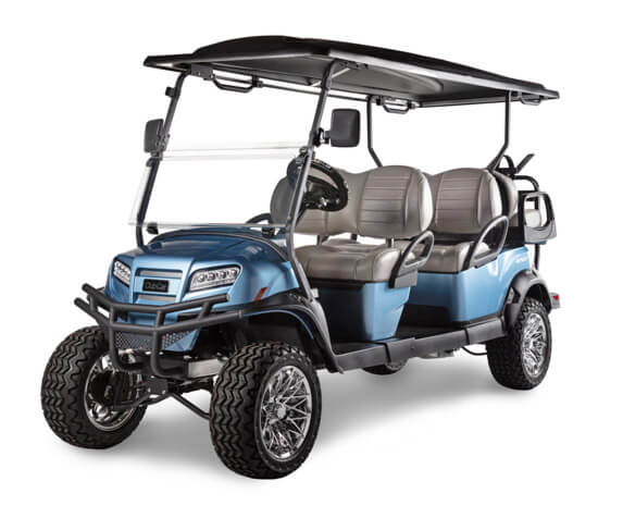 6 Passenger golf cart