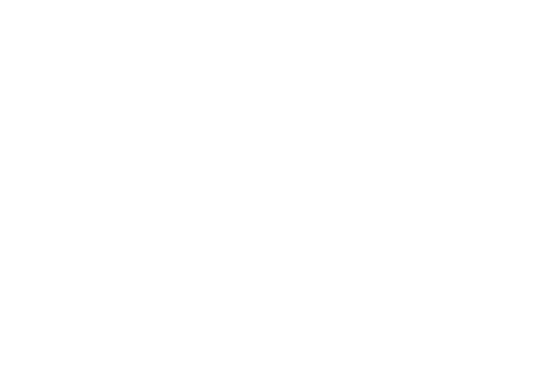 vivid ev logo